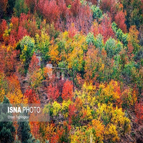 تصاویر: پاییز هزار رنگ در روستای «شیت»