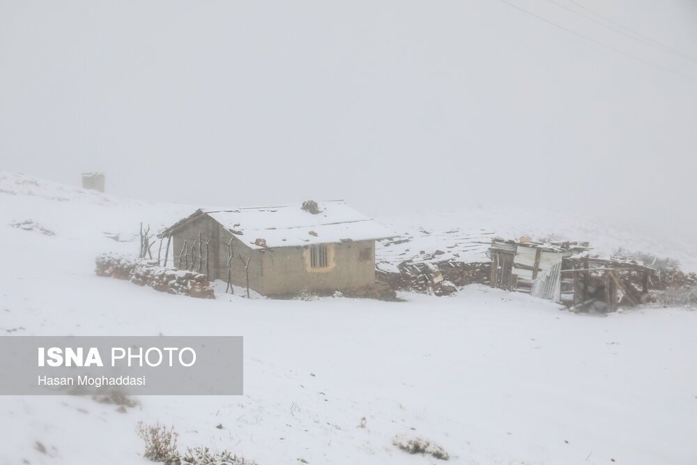 تصاویر: اولین برف پاییزی در روستاهای کوهپایه نشین سوادکوه