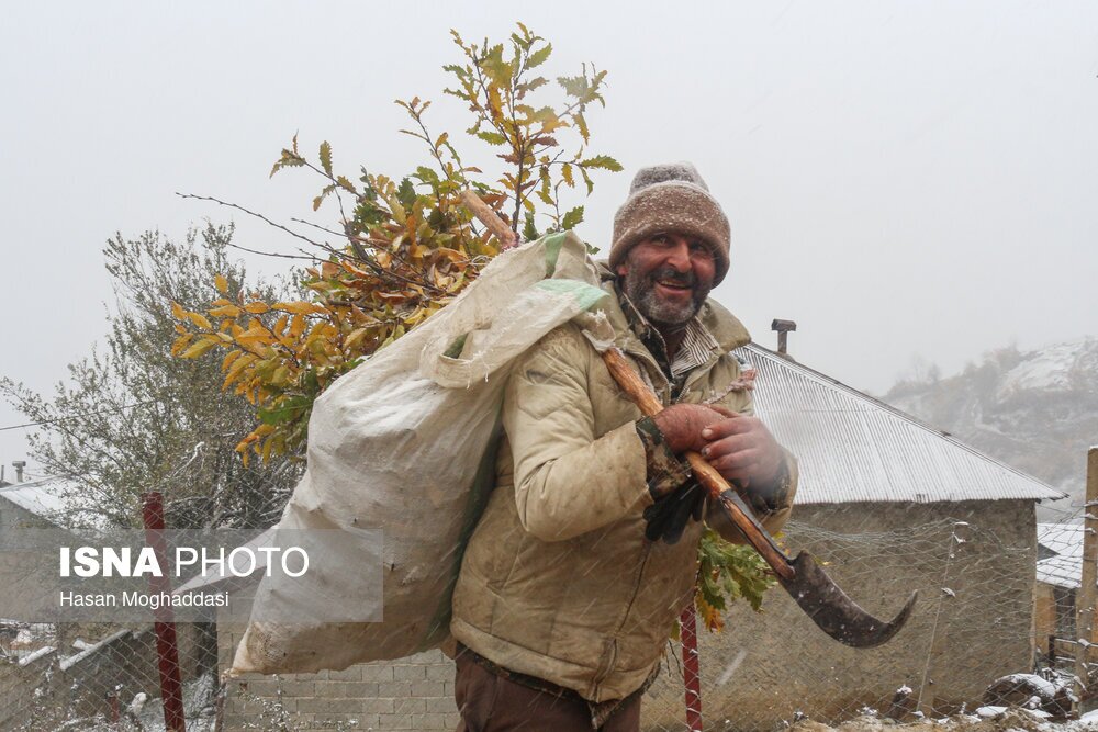 تصاویر: اولین برف پاییزی در روستاهای کوهپایه نشین سوادکوه