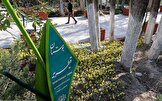 سخنگوی شورای شهر: ساخت مسجد در پارک قیطریه بانی دارد و به پیشنهاد مردم آنجا اتفاق افتاده بود