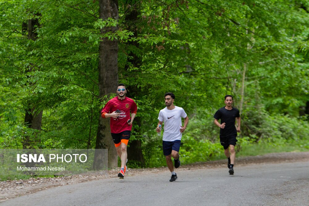 تصاویر: جنگل‌های هیرکانی النگدره - گلستان