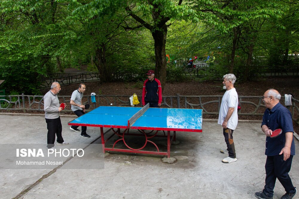 تصاویر: جنگل‌های هیرکانی النگدره - گلستان