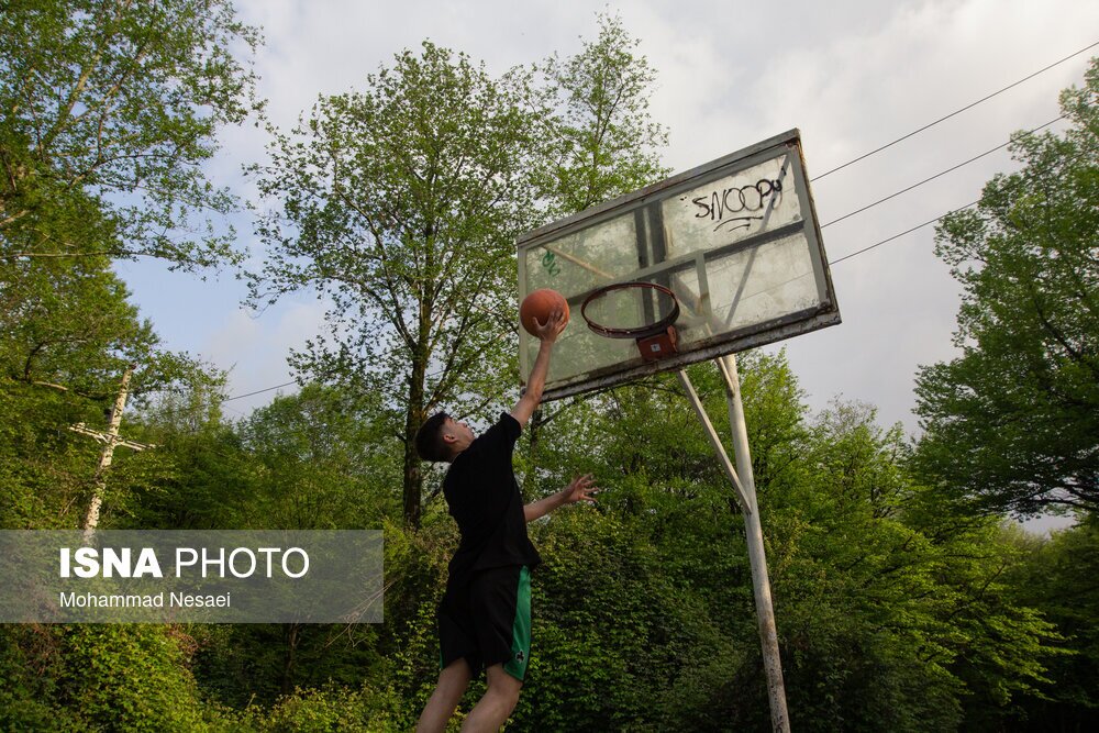تصاویر: جنگل‌های هیرکانی النگدره - گلستان