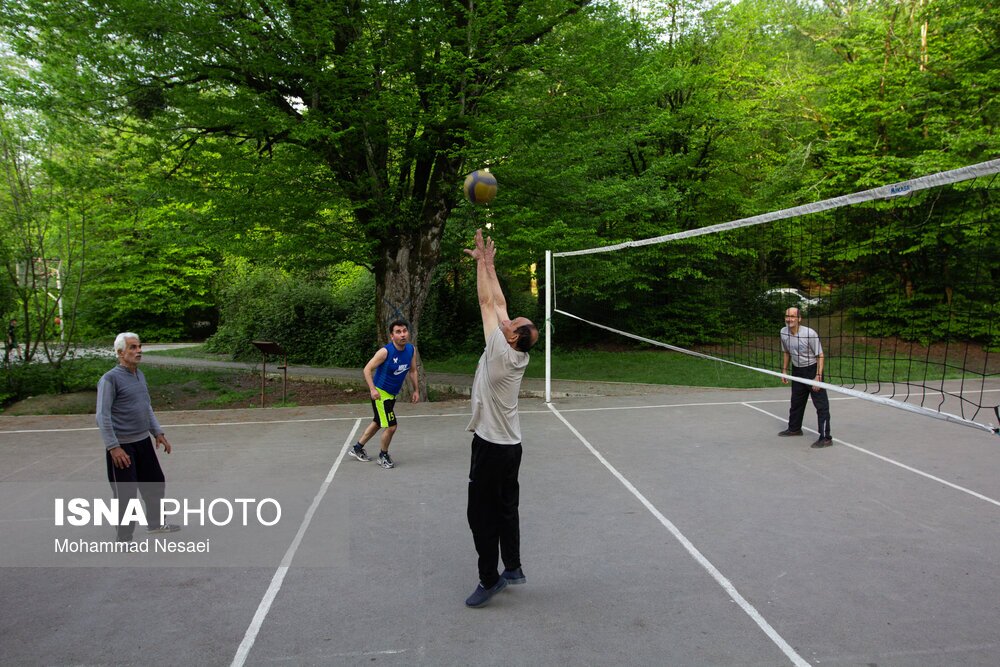 تصاویر: جنگل‌های هیرکانی النگدره - گلستان