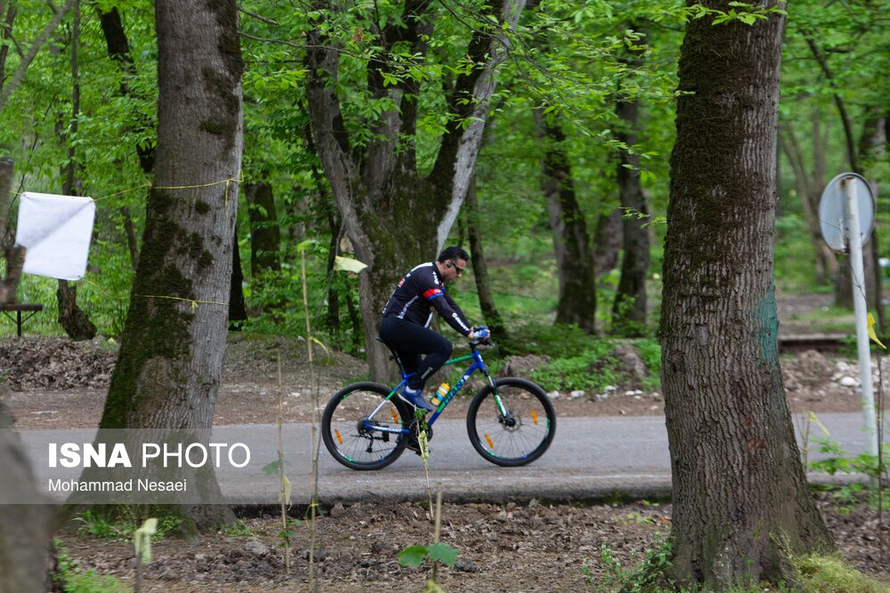 تصاویر: جنگل‌های هیرکانی النگدره - گلستان
