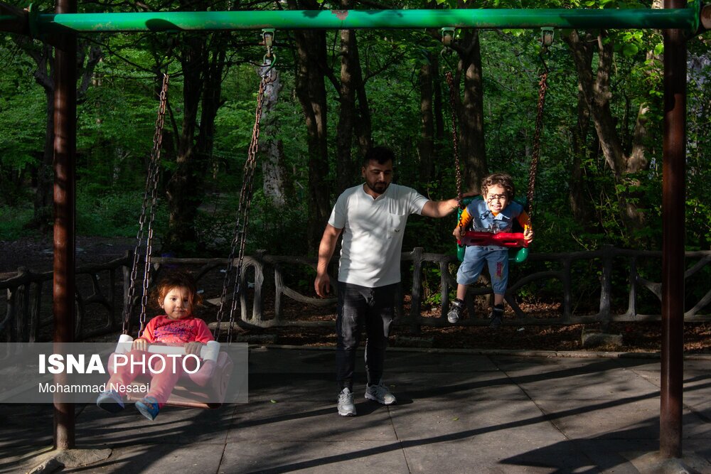 تصاویر: جنگل‌های هیرکانی النگدره - گلستان