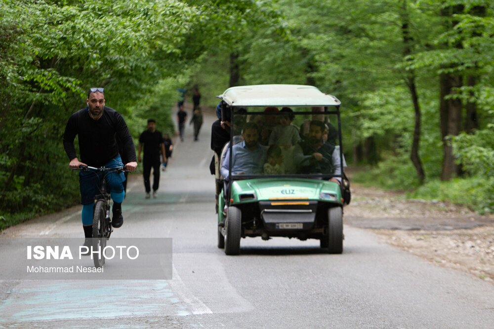 تصاویر: جنگل‌های هیرکانی النگدره - گلستان