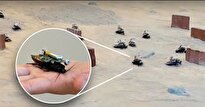 ببینید / ارتش سوسک‌های رباتیک مجهز به کوله‌پشتی رایانه‌ای در بیابان