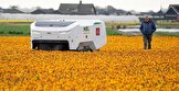 کشاورزان هلندی از ربات ۱۸۵ هزار یورویی هوش مصنوعی در پرورش لاله‌های سالم استفاده می‌کنند