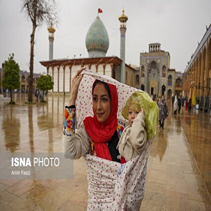 تصاویر: باران بهاری در شیراز