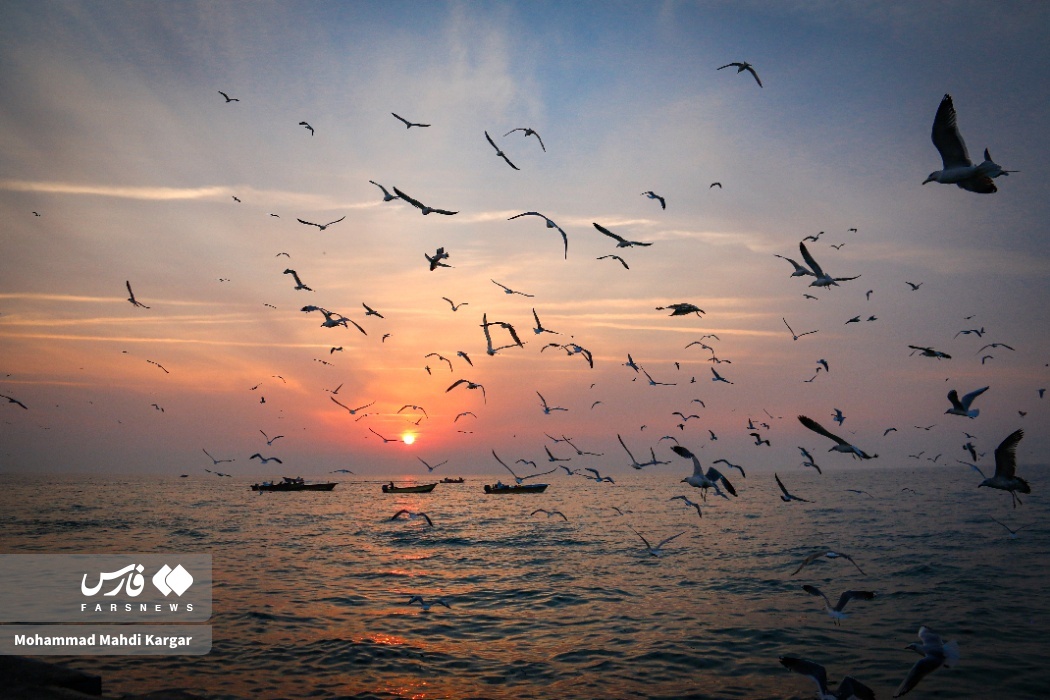 تصاویر: غروب زیبای ساحل بوشهر
