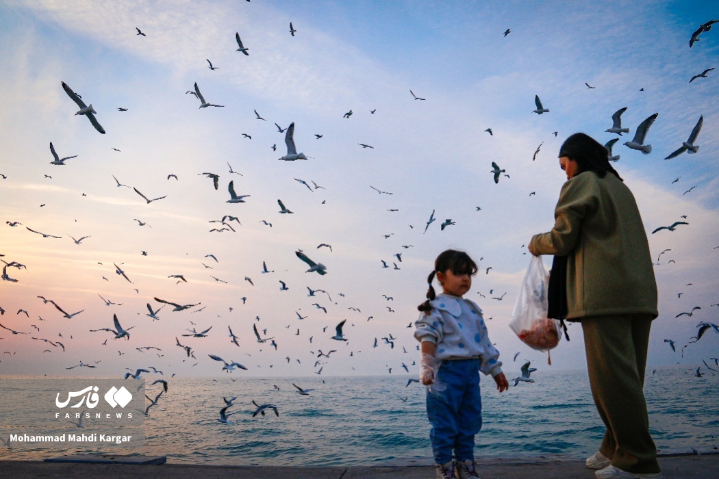 تصاویر: غروب زیبای ساحل بوشهر