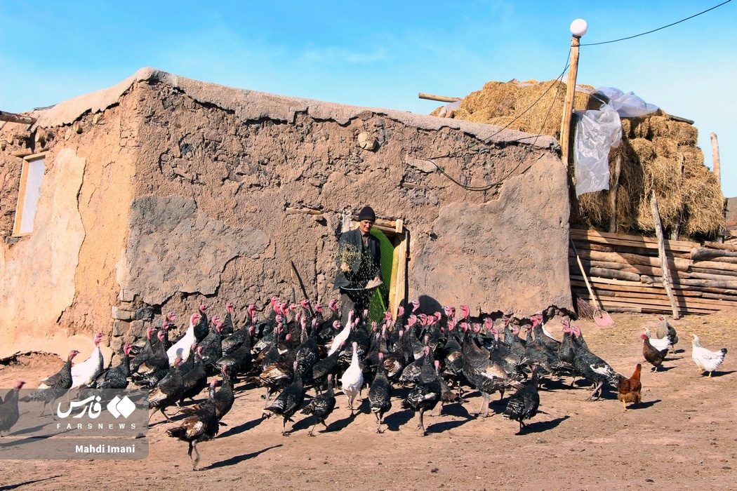 تصاویر: پدران ایل