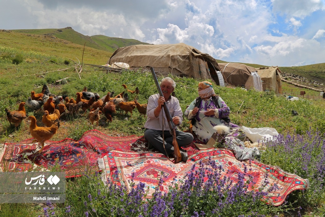 تصاویر: پدران ایل