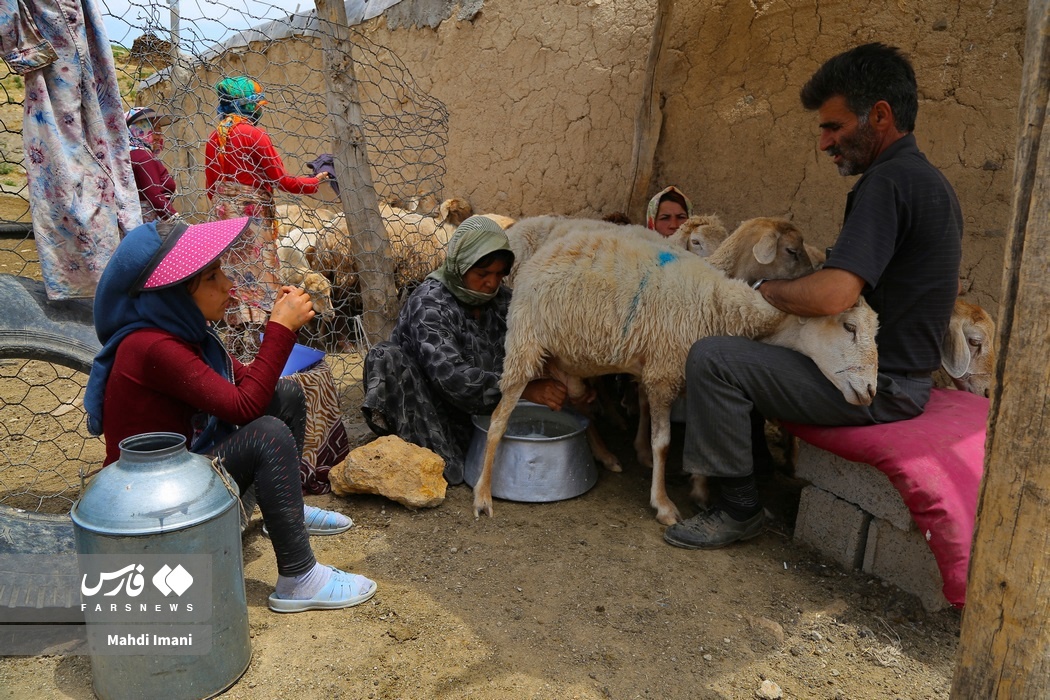 تصاویر: پدران ایل