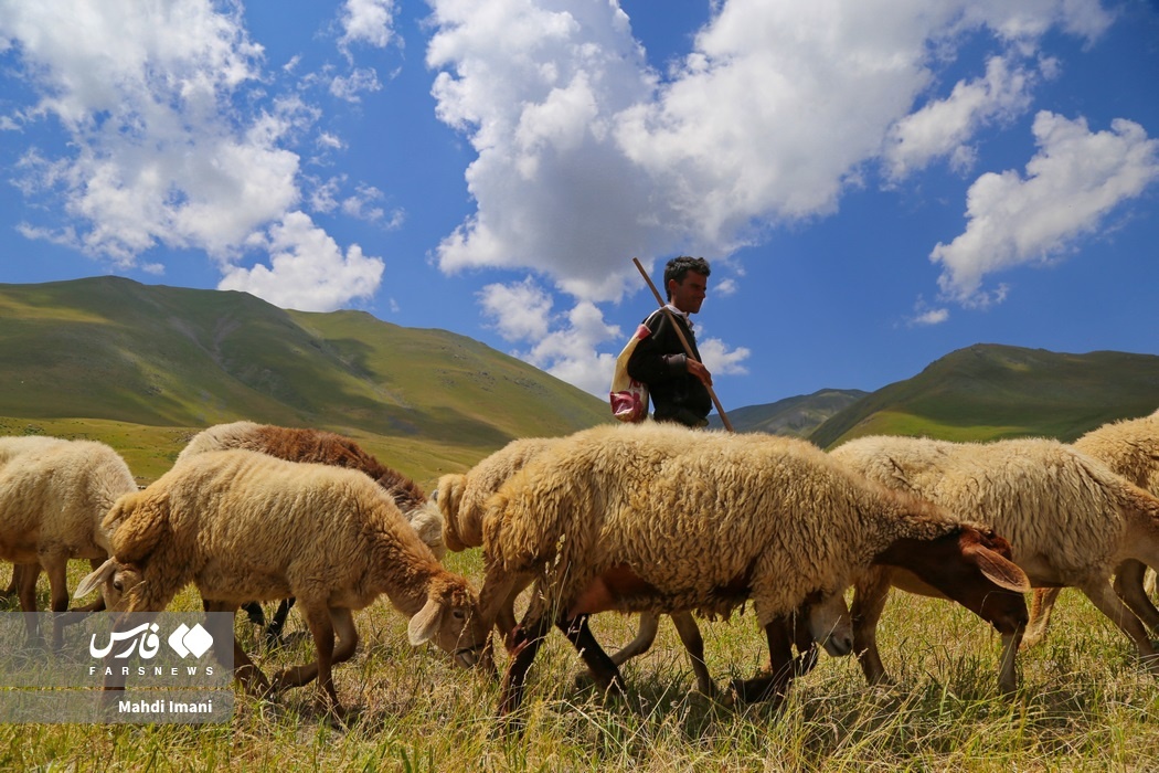 تصاویر: پدران ایل