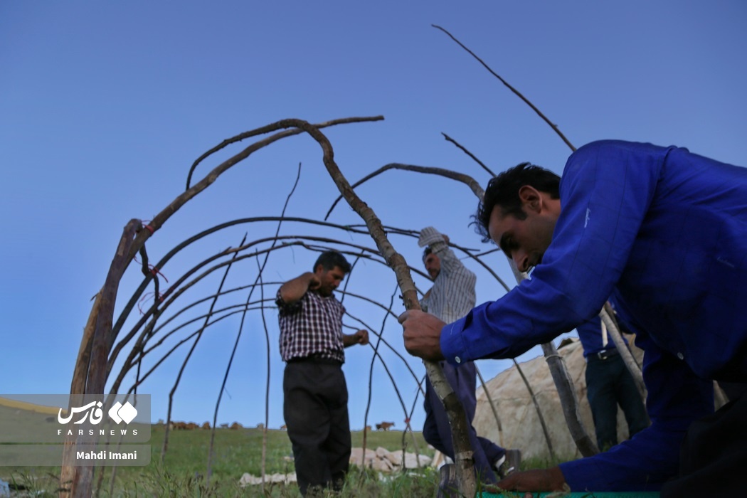 تصاویر: پدران ایل