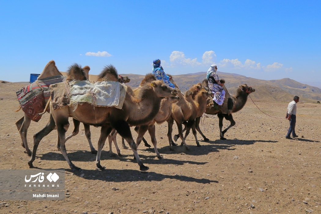 تصاویر: پدران ایل