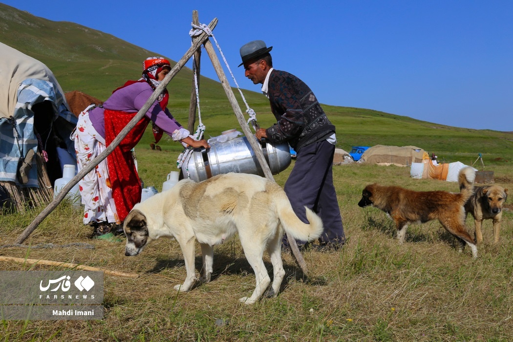تصاویر: پدران ایل