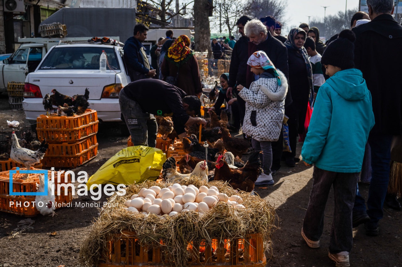تصاویر: جمعه بازار «جویبار»