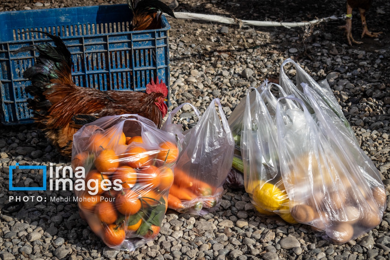 تصاویر: جمعه بازار «جویبار»