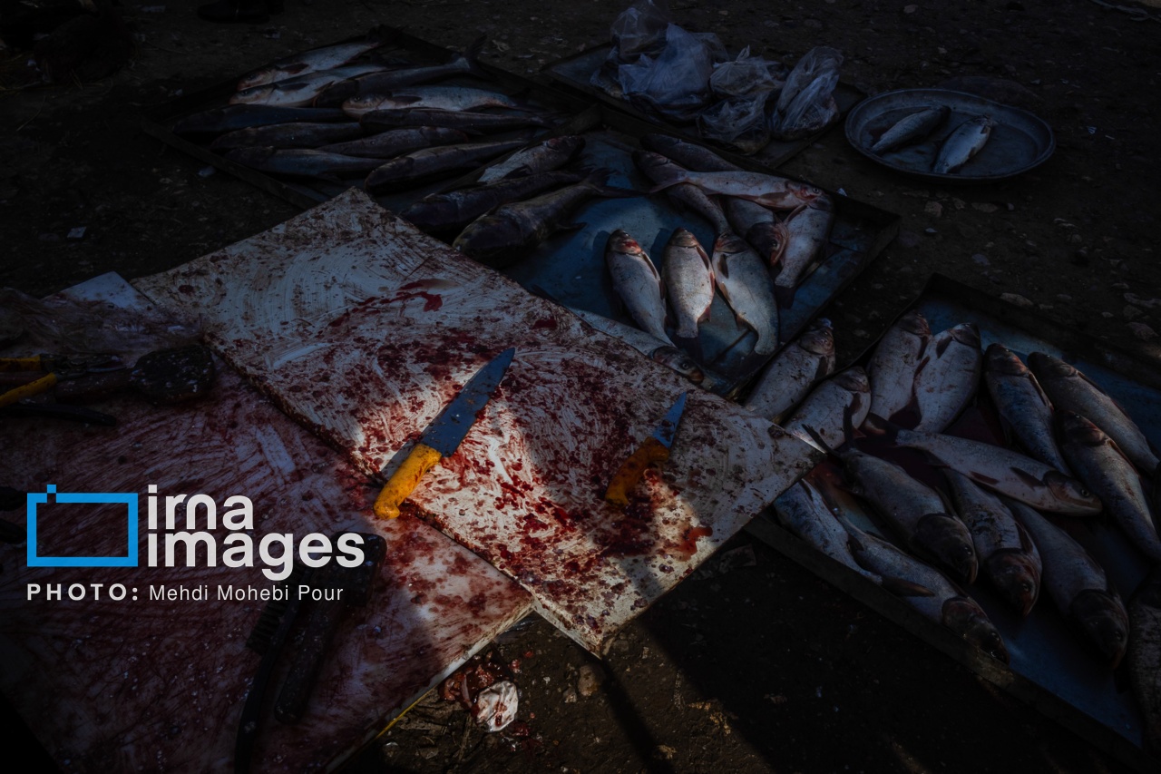 تصاویر: جمعه بازار «جویبار»