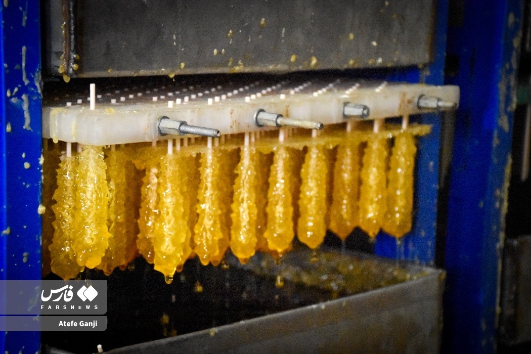 تصاویر: پولک و نبات؛ طعمِ شیرین از دل تاریخ چهارمحال و بختیاری