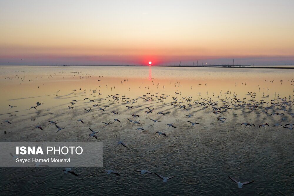 تصاویر: تالاب هورالعظیم