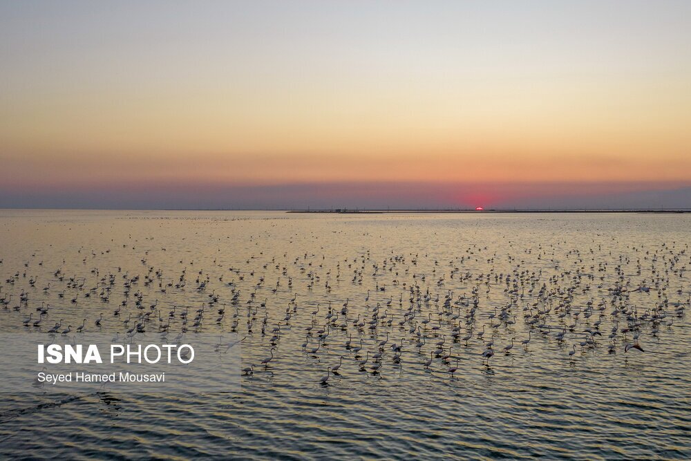 تصاویر: تالاب هورالعظیم