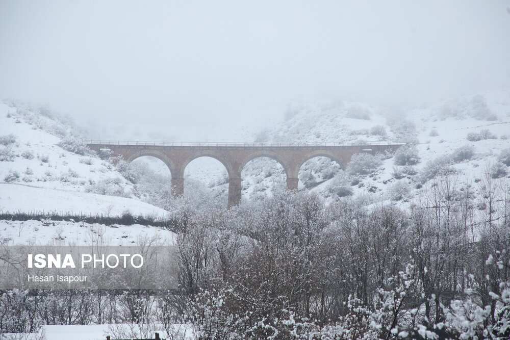 تصاویر: بارش برف در سوادکوه