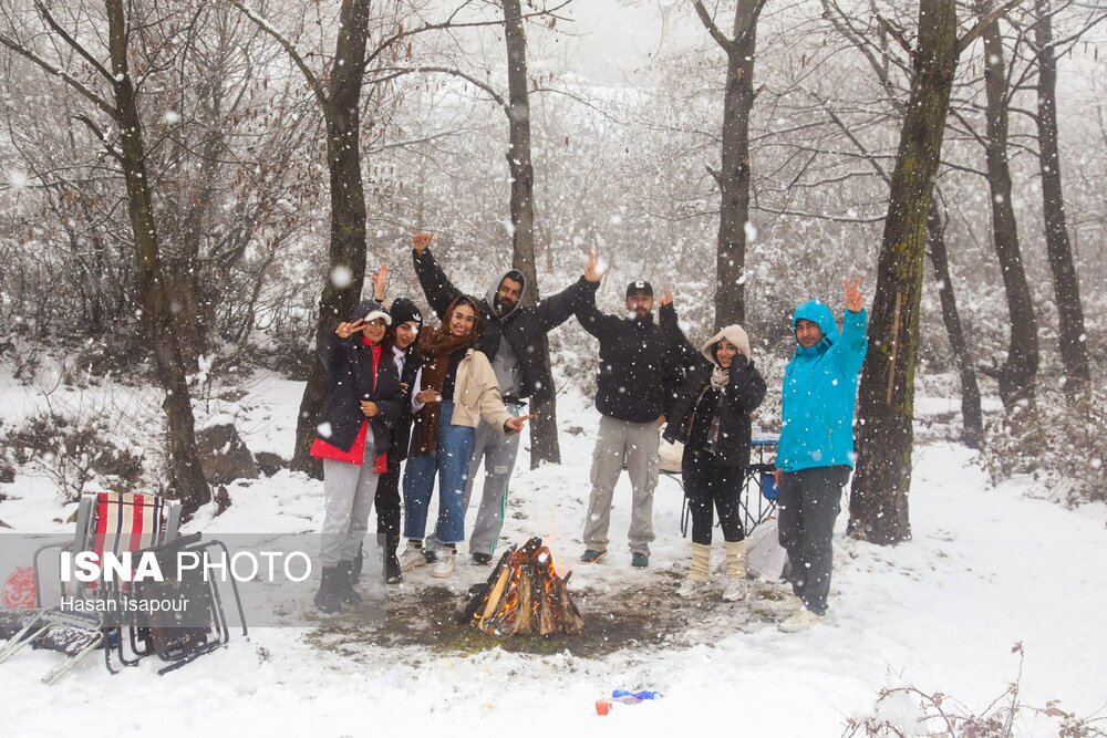تصاویر: بارش برف در سوادکوه
