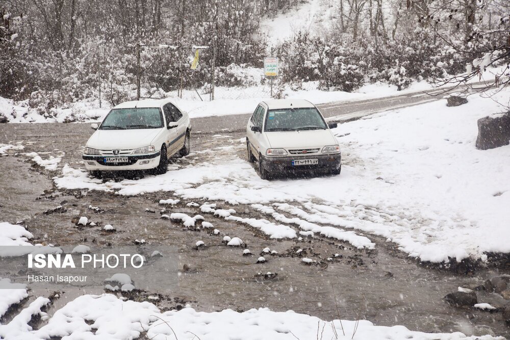 تصاویر: بارش برف در سوادکوه