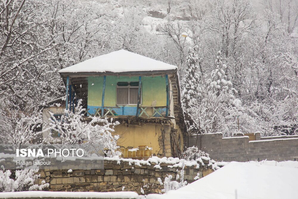 تصاویر: بارش برف در سوادکوه