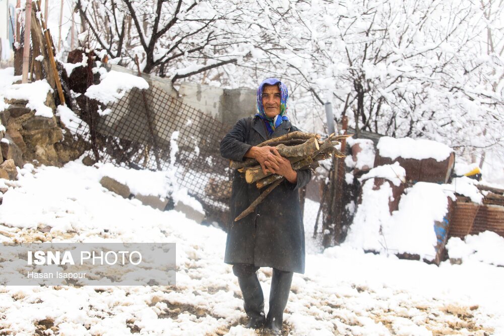 تصاویر: بارش برف در سوادکوه