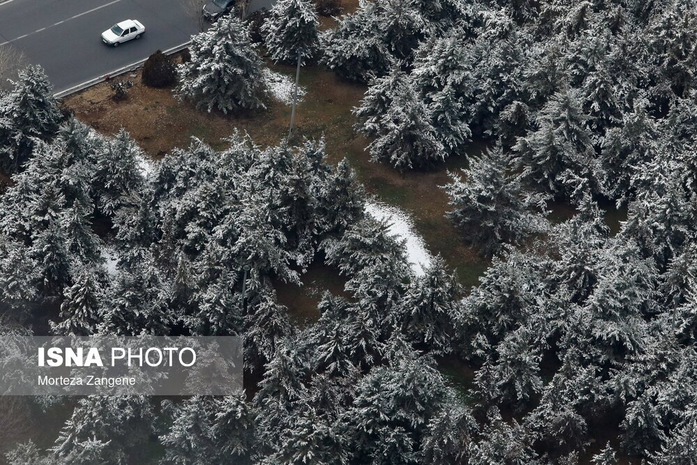تصاویر: تهران برفی