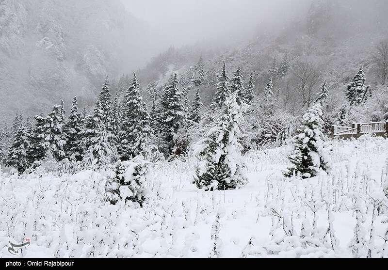 تصاویر: بارش برف در ارتفاعات رحیم آباد - گیلان