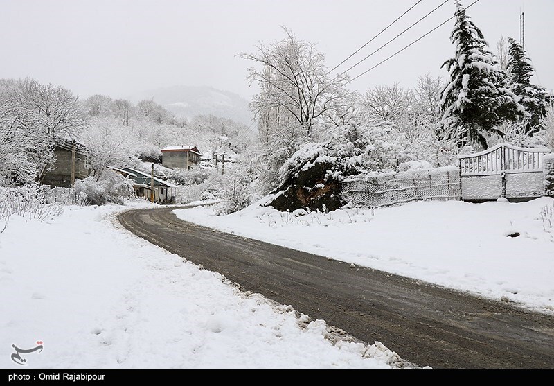 تصاویر: بارش برف در ارتفاعات رحیم آباد - گیلان