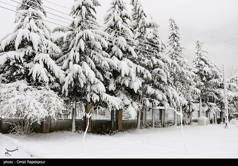 تصاویر: بارش برف در ارتفاعات رحیم آباد - گیلان