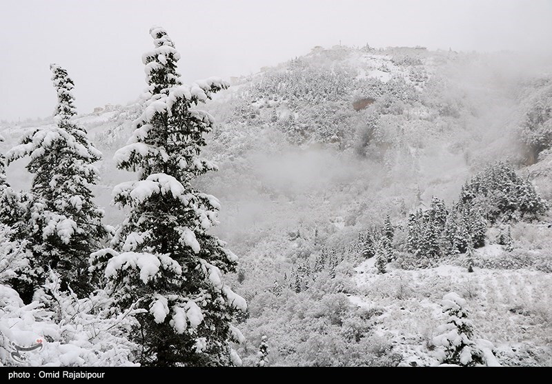 تصاویر: بارش برف در ارتفاعات رحیم آباد - گیلان