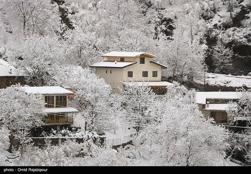 تصاویر: بارش برف در ارتفاعات رحیم آباد - گیلان