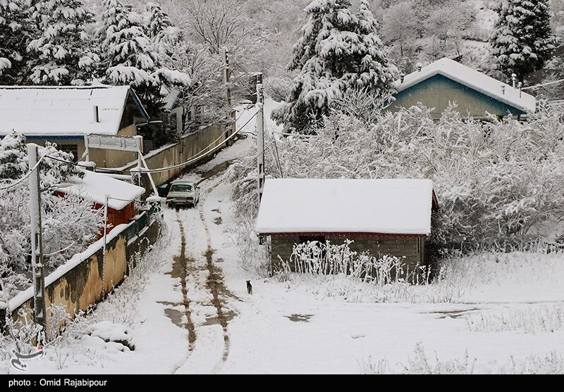 تصاویر: بارش برف در ارتفاعات رحیم آباد - گیلان