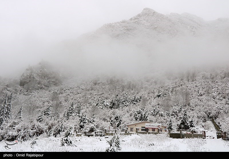 تصاویر: بارش برف در ارتفاعات رحیم آباد - گیلان