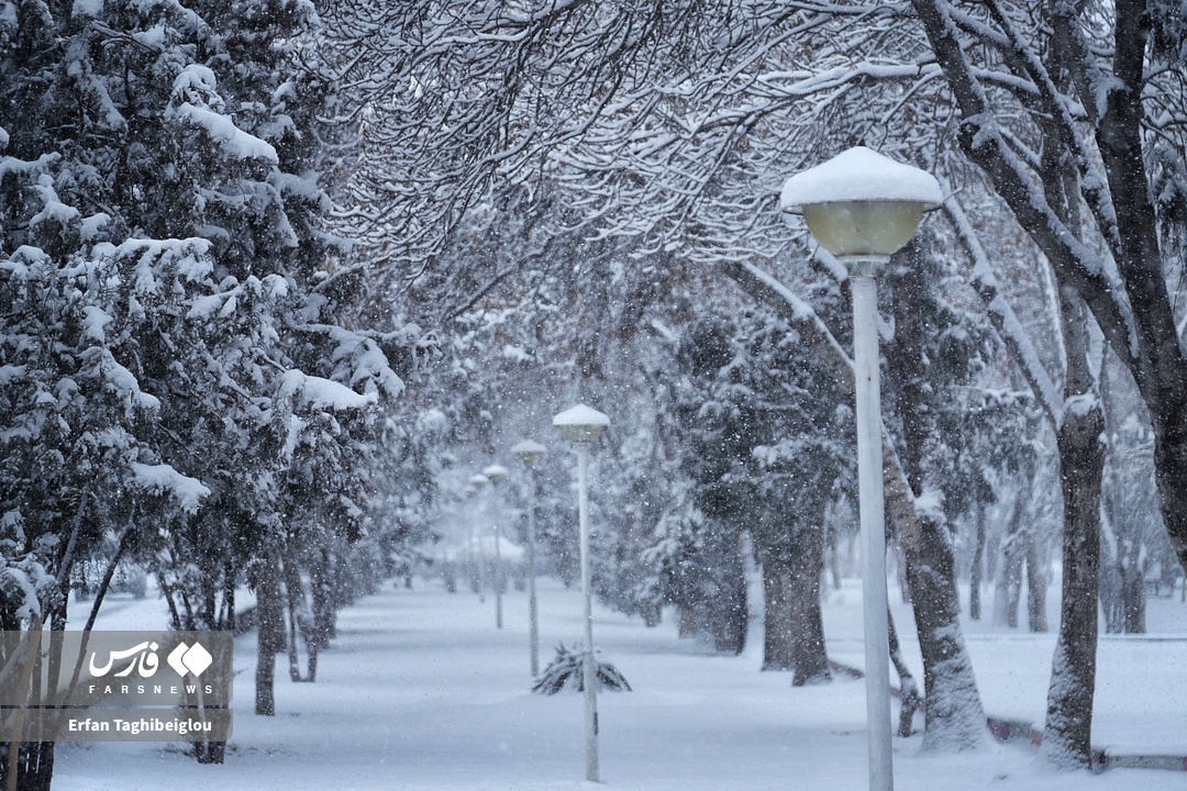 تصاویر: روز خوش برفی در زنجان