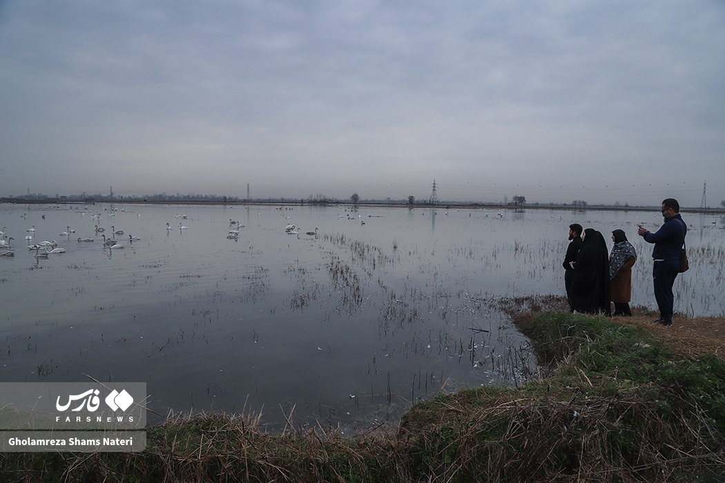 تصاویر: زیستگاه