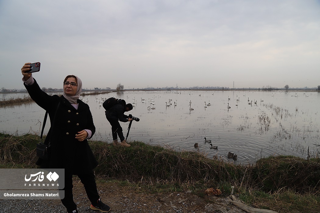 تصاویر: زیستگاه