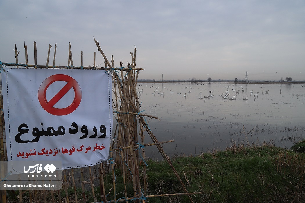 تصاویر: زیستگاه