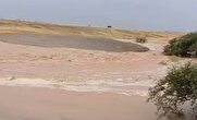 ببینید /  زیر آب رفتن اراضی زراعی دیم شهرستان دهلران در پی سیلاب