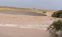 ببینید /  زیر آب رفتن اراضی زراعی دیم شهرستان دهلران در پی سیلاب