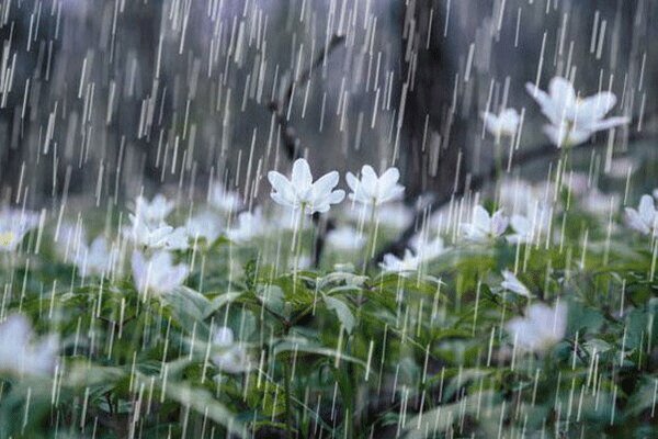 بارش‌های مطلوب بهاری تا نیمه خرداد