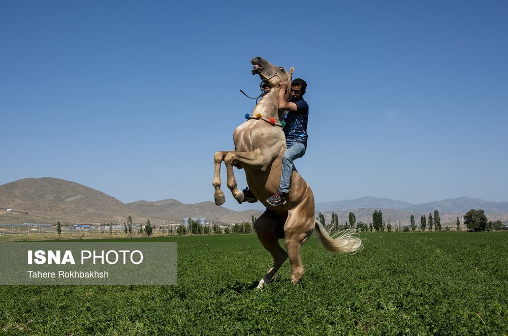 تصاوير: زندگي روستايي در خراسان شمالي